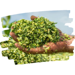 Conservación de Forrajes